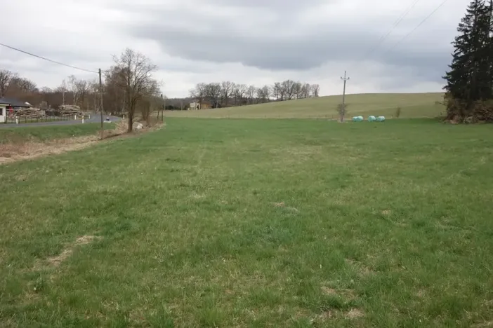 Prodej louky, Cheb, 5828 m2