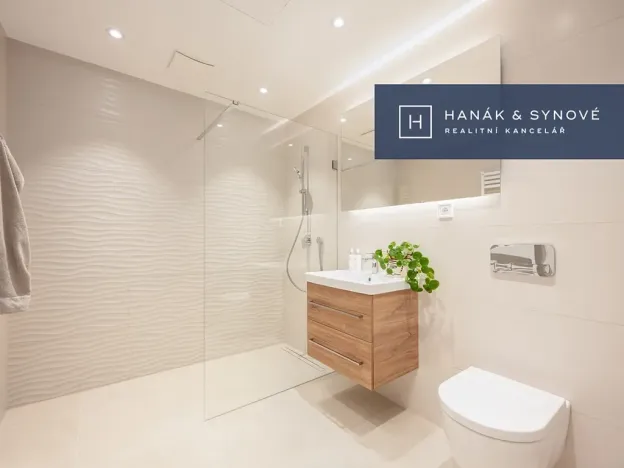 Pronájem bytu 1+kk, Brno, Cejl, 32 m2