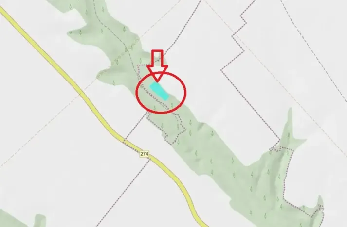 Prodej lesa, Chorušice, 2884 m2