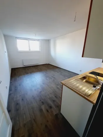 Pronájem bytu 1+kk, Polepy, 31 m2