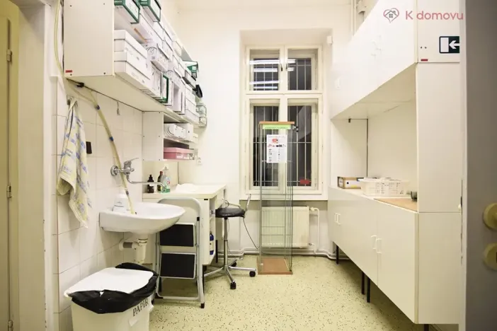 Pronájem obchodního prostoru, Brno, Pekařská, 140 m2