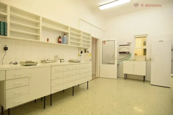 Pronájem obchodního prostoru, Brno, Pekařská, 140 m2