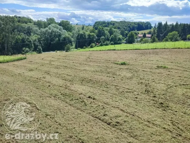 Dražba pozemku pro bydlení, Bruzovice, 11054 m2