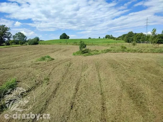 Dražba pozemku pro bydlení, Bruzovice, 11054 m2