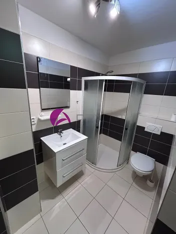 Pronájem bytu 1+1, Olomouc, Dobrovského, 46 m2