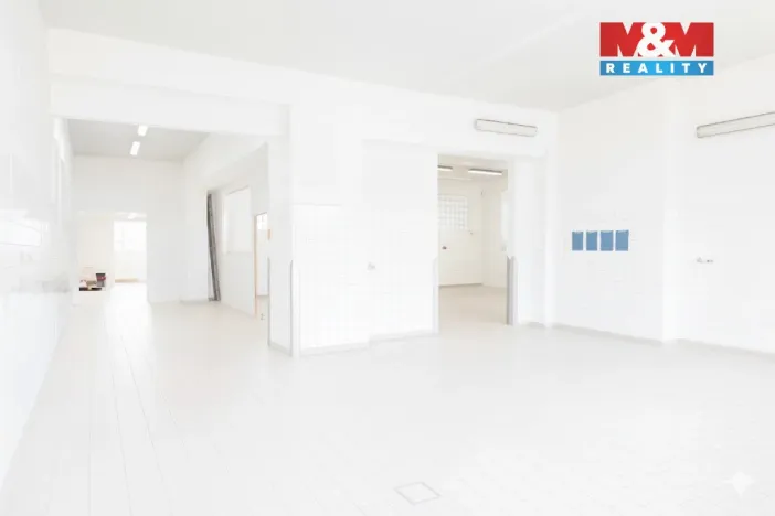 Pronájem skladu, Nymburk, Jičínská, 249 m2