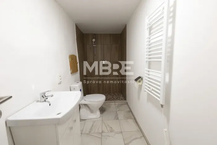 Pronájem bytu 2+kk, Opava - Předměstí, Mlýnská, 52 m2