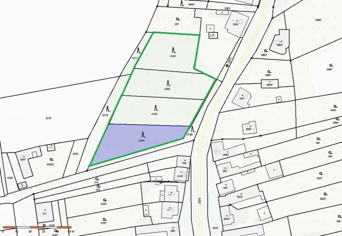 Prodej lesa, Cvrčovice, 4746 m2