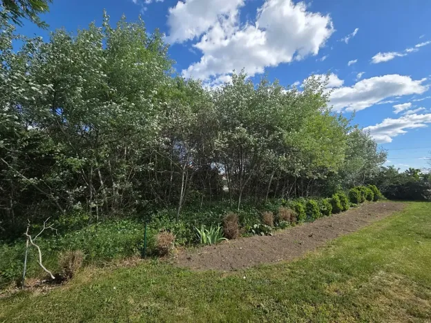 Prodej lesa, Cvrčovice, 4746 m2