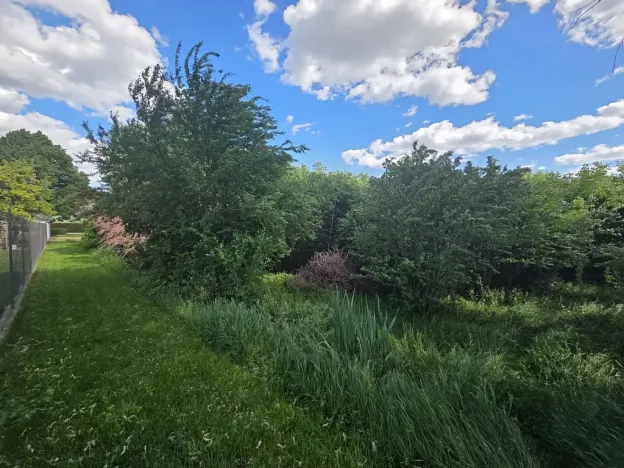 Prodej lesa, Cvrčovice, 4746 m2