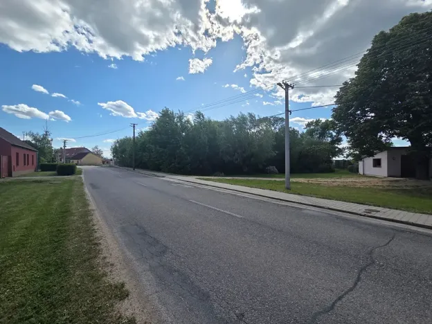 Prodej lesa, Cvrčovice, 4746 m2