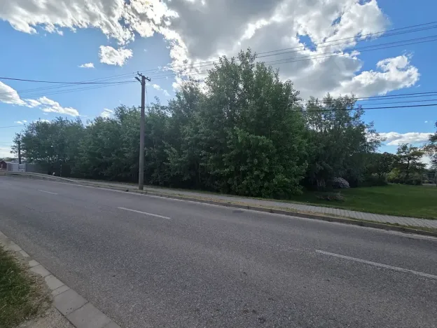 Prodej lesa, Cvrčovice, 4746 m2