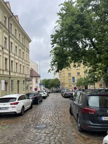 Pronájem ostatní, Praha - Vinohrady, Rybalkova