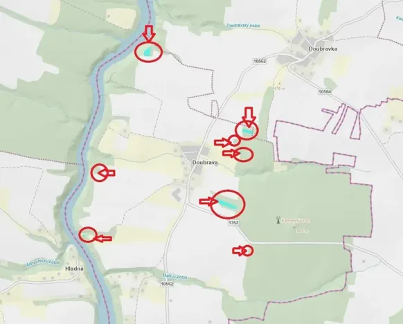 Prodej lesa, Chrášťany, 11900 m2