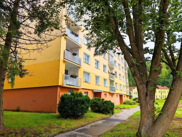 Prodej bytu 1+kk, Kraslice, B. Smetany, 22 m2