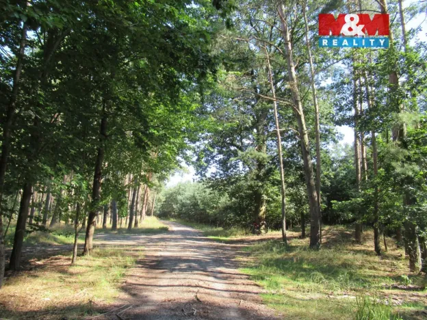 Prodej chaty, Kropáčova Vrutice - Střížovice, 38 m2