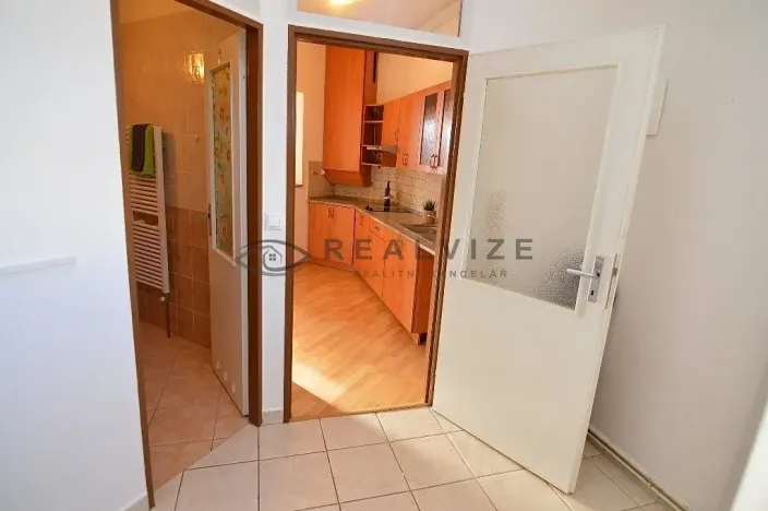 Pronájem bytu 1+kk, České Budějovice, K. V. Raise, 52 m2