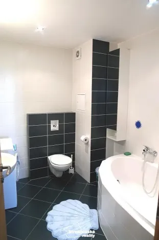 Pronájem bytu 4+kk, Praha - Suchdol, Holubí, 234 m2