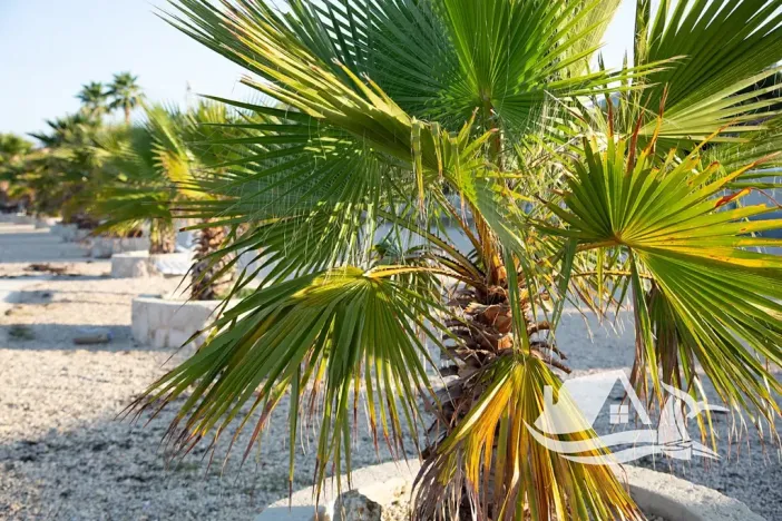 Prodej bytu 4+kk, Privlaka, Chorvatsko, 99 m2