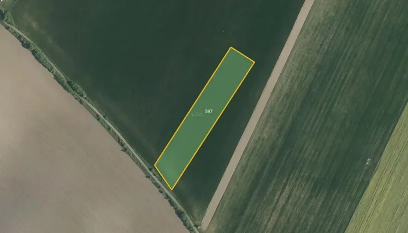 Prodej louky, Bezděkov, 9812 m2