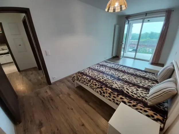 Pronájem bytu 2+kk, Ostrava - Moravská Ostrava, Důlní, 73 m2