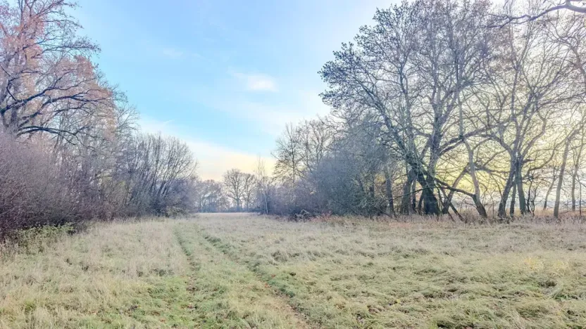 Prodej pole, Oseček, 76028 m2