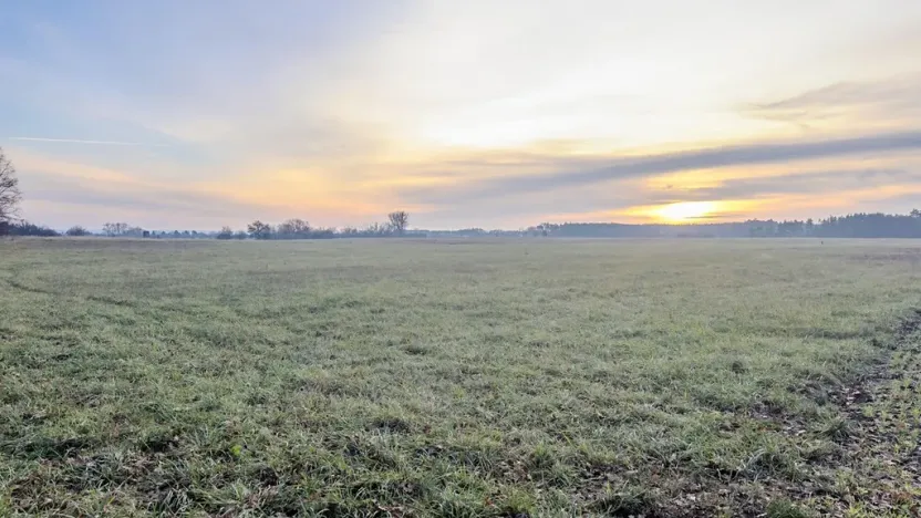 Prodej pole, Oseček, 76028 m2