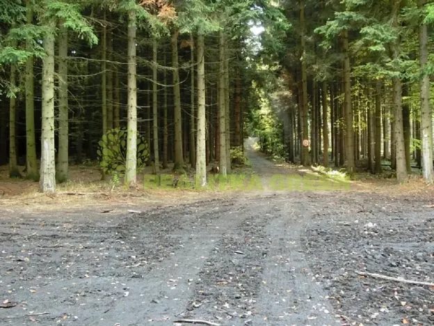 Prodej lesa, Zlín, 179312 m2