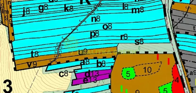 Prodej lesa, Hřivínův Újezd, 11067 m2