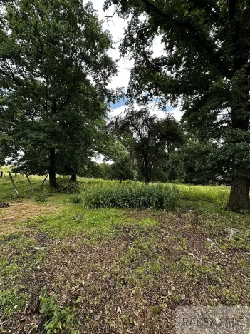 Prodej pozemku pro bydlení, Čížkov, 3589 m2