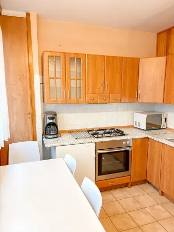 Pronájem bytu 4+1, Mladá Boleslav, Erbenova, 79 m2