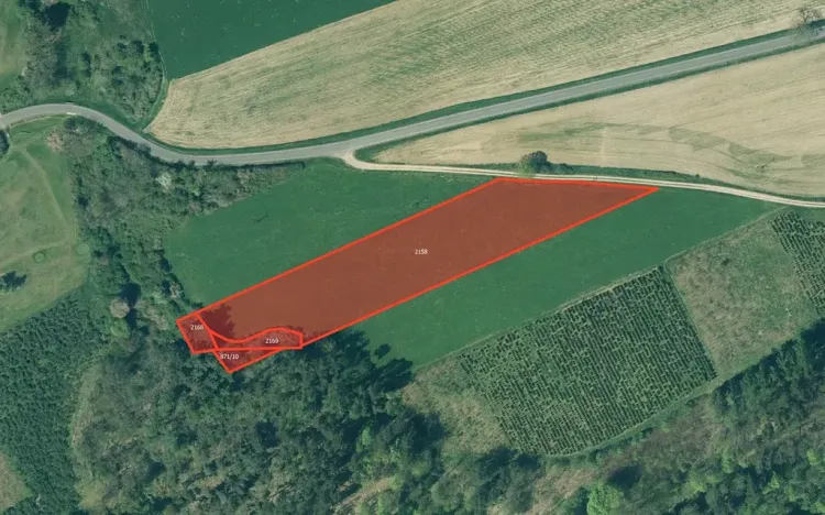 Prodej pole, Břasy, 2673 m2