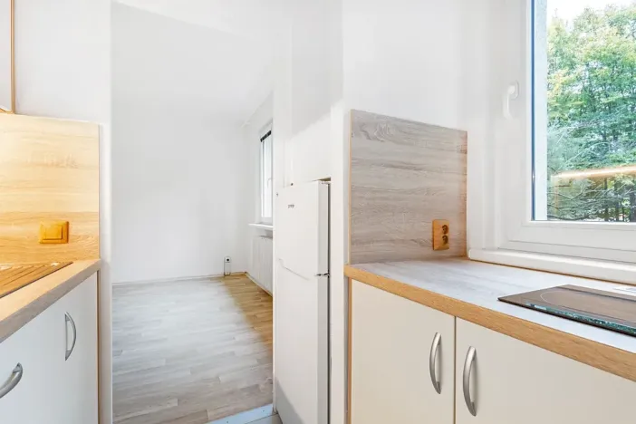 Pronájem bytu 1+1, Brno, náměstí SNP, 27 m2