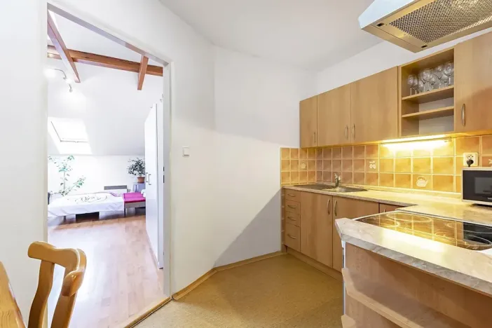 Pronájem bytu 1+1, Brno, Spolková, 41 m2