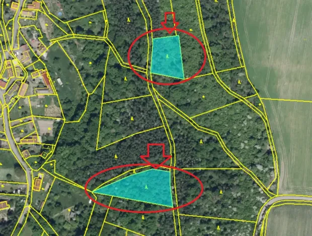 Prodej lesa, Ročov, 4272 m2