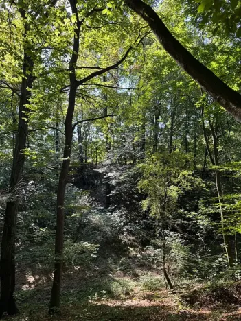 Prodej lesa, Ostrava, 8938 m2