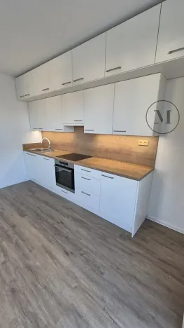 Pronájem bytu 3+kk, České Budějovice, Branišovská, 84 m2