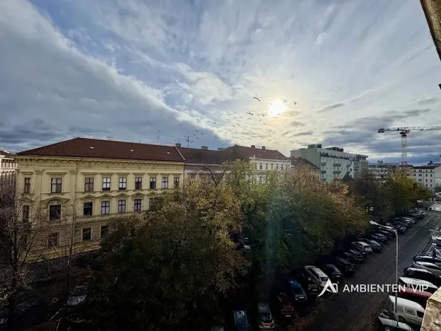 Pronájem kanceláře, Brno, třída Kpt. Jaroše, 316 m2