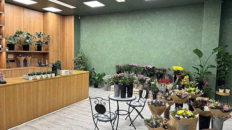 Pronájem obchodního prostoru, Brno, náměstí Svobody, 64 m2