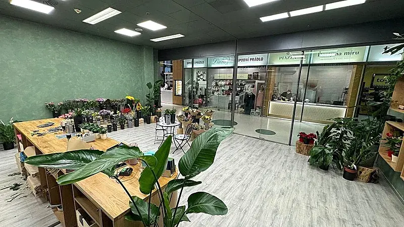 Pronájem obchodního prostoru, Brno, náměstí Svobody, 64 m2