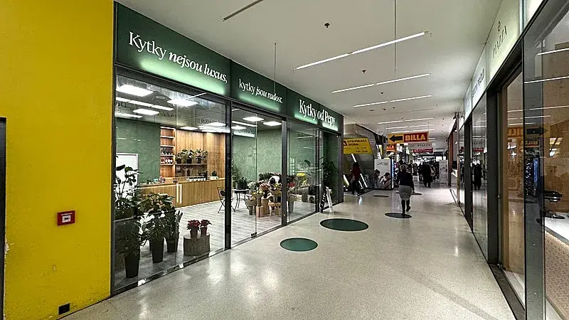 Pronájem obchodního prostoru, Brno, náměstí Svobody, 64 m2