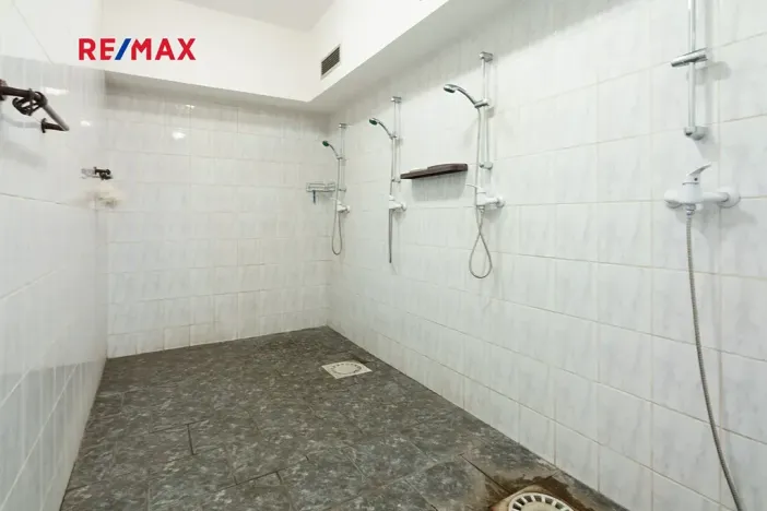 Prodej rodinného domu, Příbram, Brodská, 666 m2