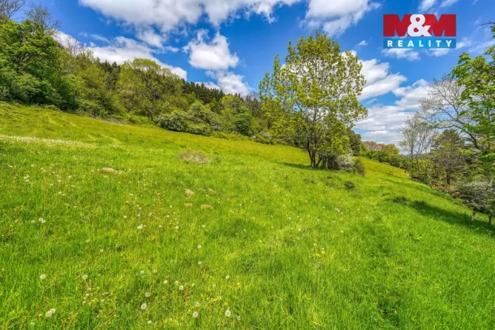 Prodej zahrady, Sušice - Nuzerov, 7751 m2