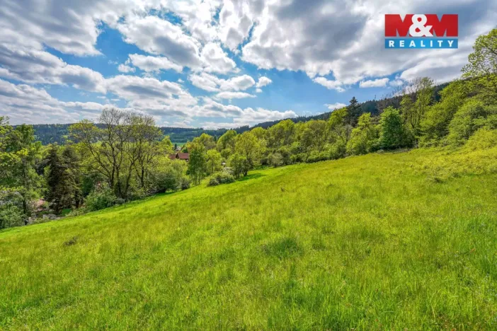 Prodej zahrady, Sušice - Nuzerov, 7751 m2