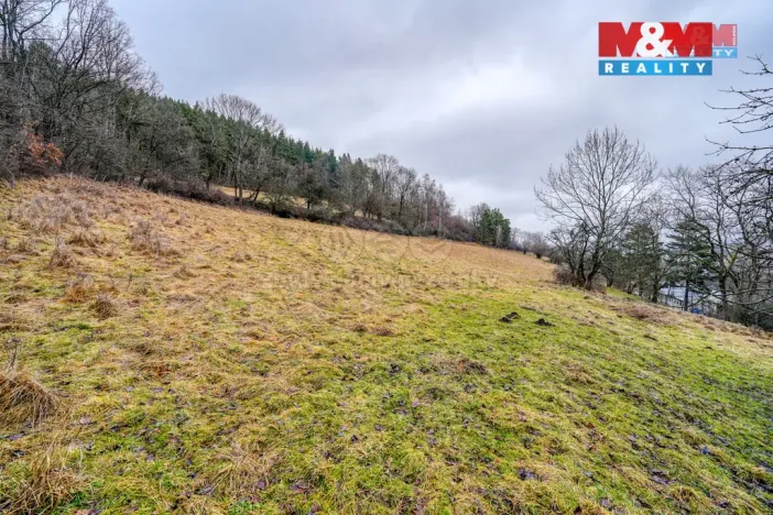 Prodej pozemku pro bydlení, Sušice - Nuzerov, 2649 m2