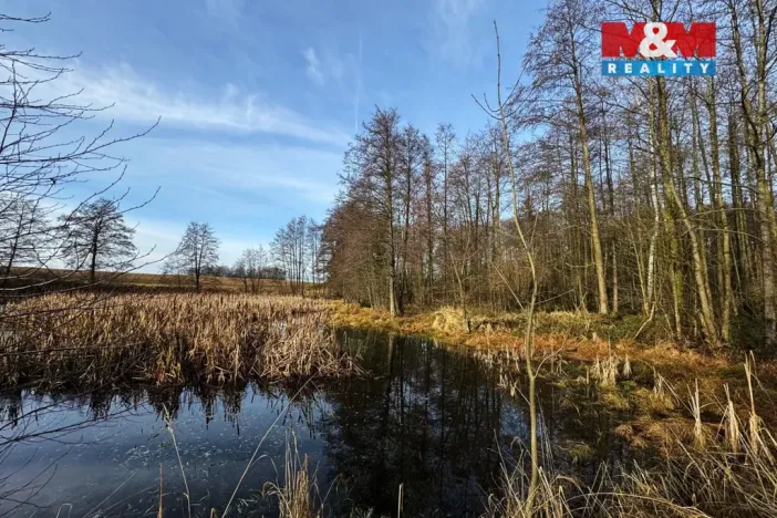 Prodej rybníku, Velká Losenice, 13639 m2