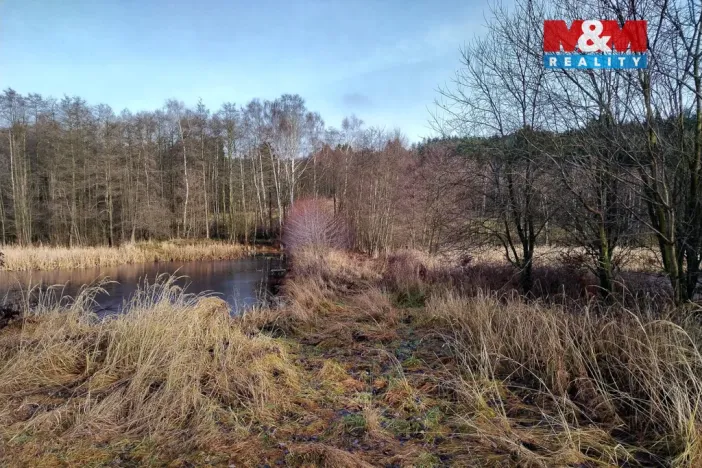 Prodej rybníku, Velká Losenice, 13639 m2