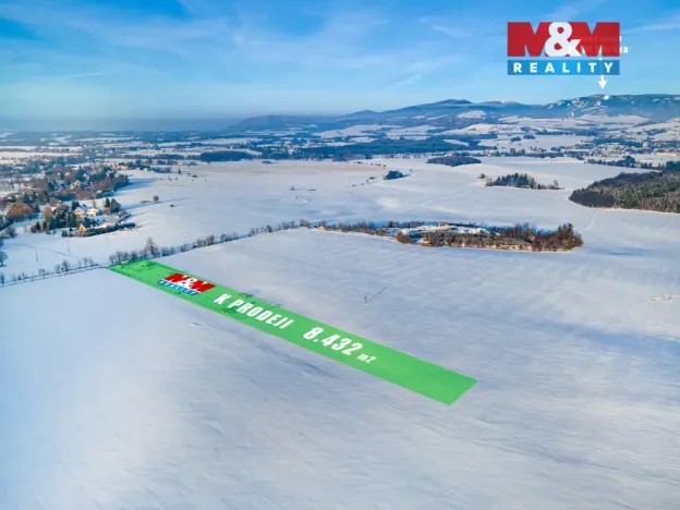 Prodej louky, Králíky - Dolní Boříkovice, 8432 m2