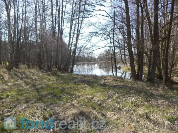 Prodej pozemku, Dolní Pěna, 4291 m2