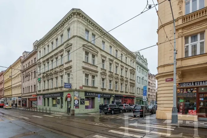 Pronájem bytu 1+1, Praha - Smíchov, Preslova, 73 m2